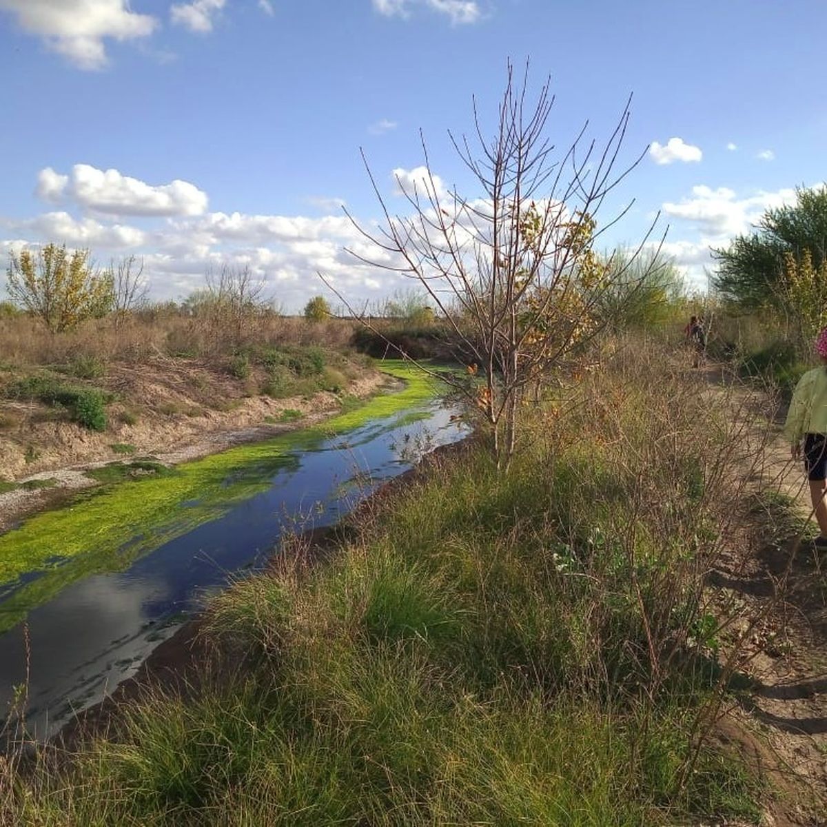 El arroyo Ludueña es un típico humedal pampeano