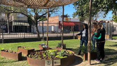 Huerta orgánica del Hospital Alassia: un año de frutos saludables para pacientes y familias