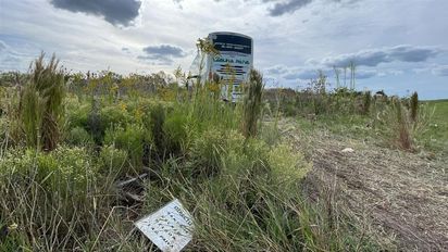 Accidente fatal en la Autopista Rosario - Santa Fe: cómo sigue el estado de salud de los heridos
