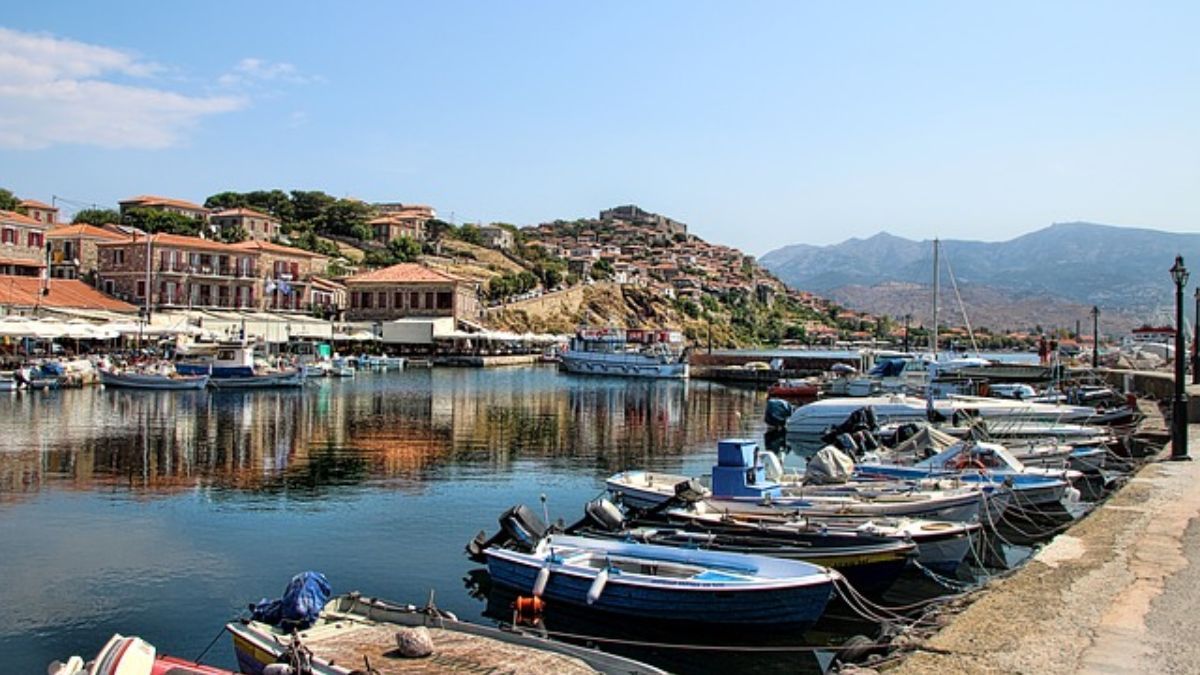 El nombre Lesbia proviene de la isla griega de Lesbos, ubicada en el mar Egeo. El nombre Lesbia proviene de la isla griega de Lesbos, ubicada en el mar Egeo.