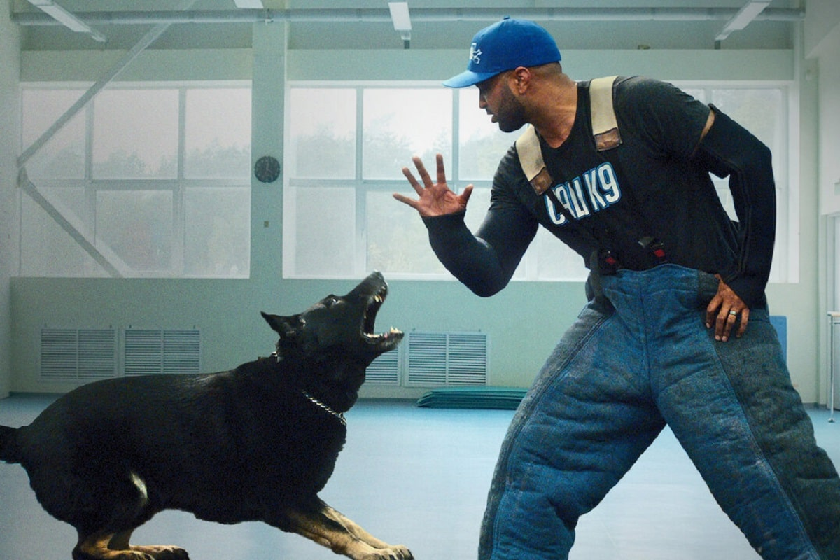 Adiestramiento canino.