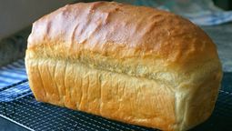 altText(Pan lactal sin TACC: la receta viral más fácil para lograr un pan suave, alto y esponjoso)}