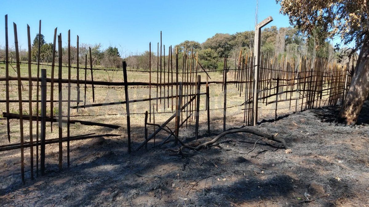 El cerco de caña fue alcanzado por las llamas.