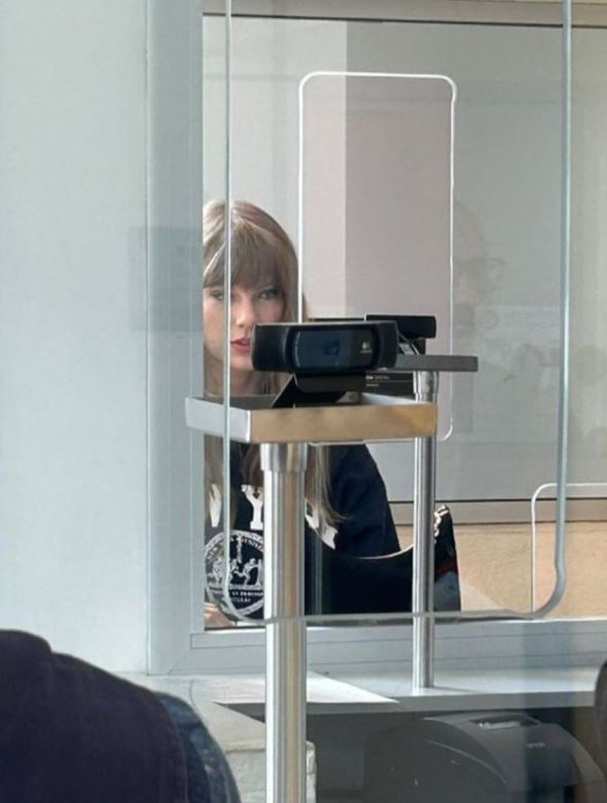Taylor Swift fue retratada en Migraciones. (Foto: elejercitodelam) Taylor Swift fue retratada en Migraciones. (Foto: elejercitodelam)