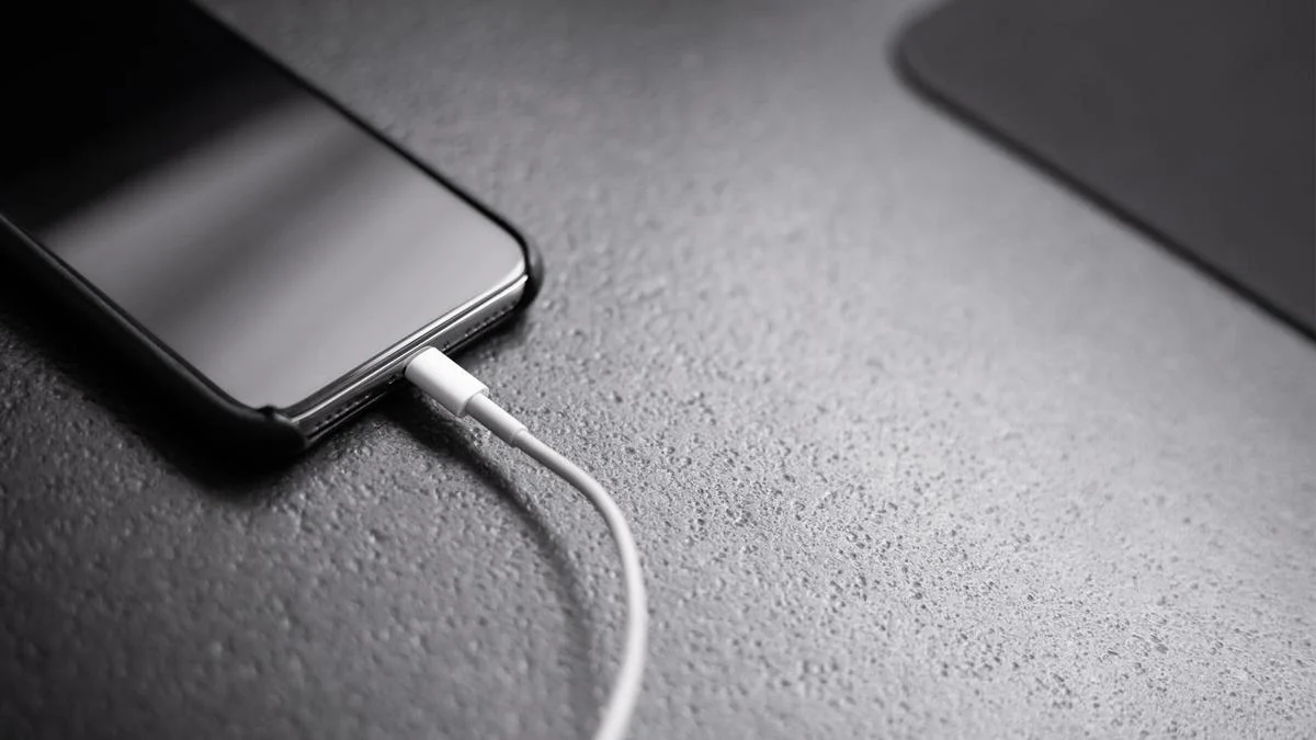 Hay que tener cuidado con la carga rápida.