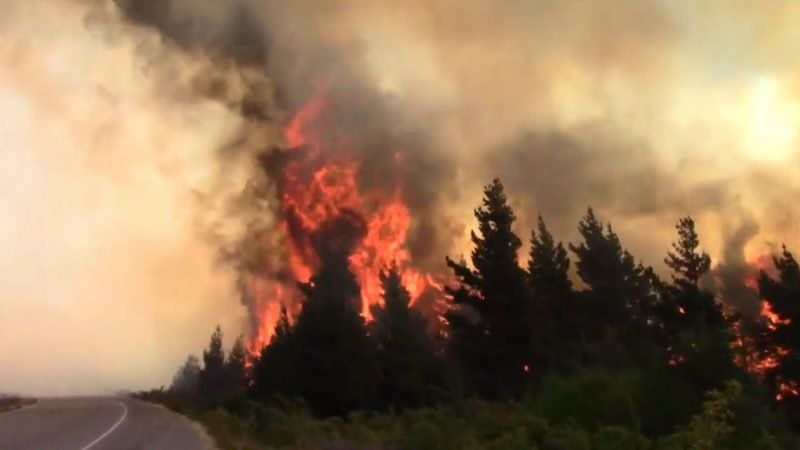 El Ministerio de Seguridad elabora protocolos de investigación criminal sobre delitos ambientales