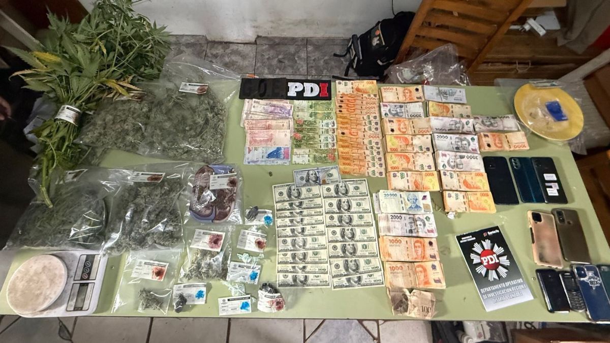 Se secuestraron 14 frascos con cogollos de marihuana que totalizaron 409 gramos, ramas de cannabis con un peso de 105 gramos y diez plantas de marihuana. Se secuestraron 14 frascos con cogollos de marihuana que totalizaron 409 gramos, ramas de cannabis con un peso de 105 gramos y diez plantas de marihuana.