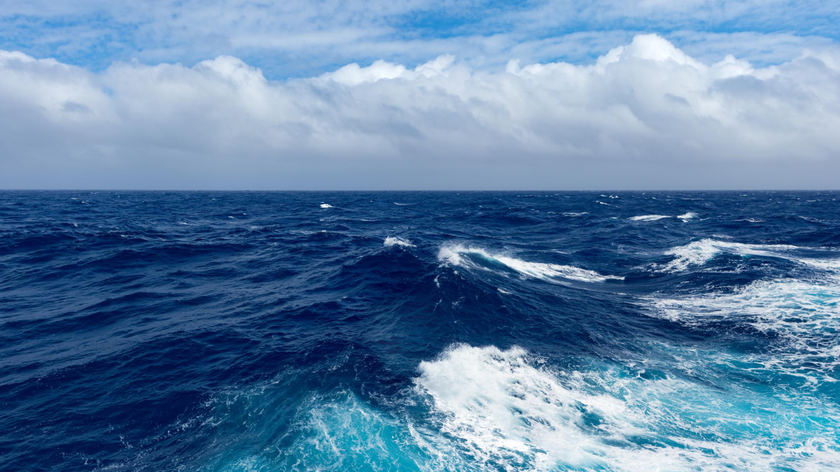 El cambio climático estaría desatando brotes de frío asesinos en los océanos