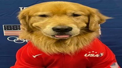 Los perros de terapia se convirtieron en una herramienta invaluable para el cuidado de la salud mental.&nbsp;
