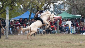En fotos: así se vivió la 49 Fiesta Provincial de la Yerra en Cayastá