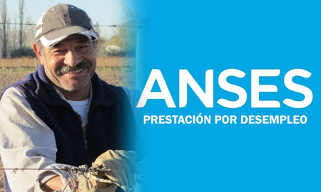 ANSES le paga más de $200.000 a desempleados: cuáles son los requisitos ANSES le paga más de $200.000 a desempleados: cuáles son los requisitos