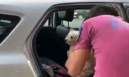Palermo: policía rompió el vidrio de un auto para rescatar a un perrito encerrado Palermo: policía rompió el vidrio de un auto para rescatar a un perrito encerrado