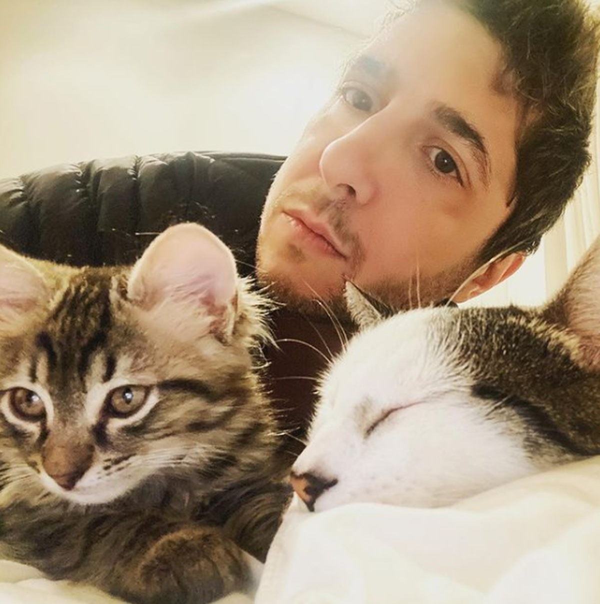 López y García, los gatos de Jey Mammon. López y García, los gatos de Jey Mammon. 