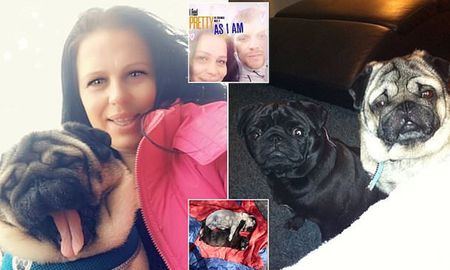 Dejaron a sus perros encerrados en una carpa sin agua y al rayo del sol por ocho horas: murieron de un golpe de calor