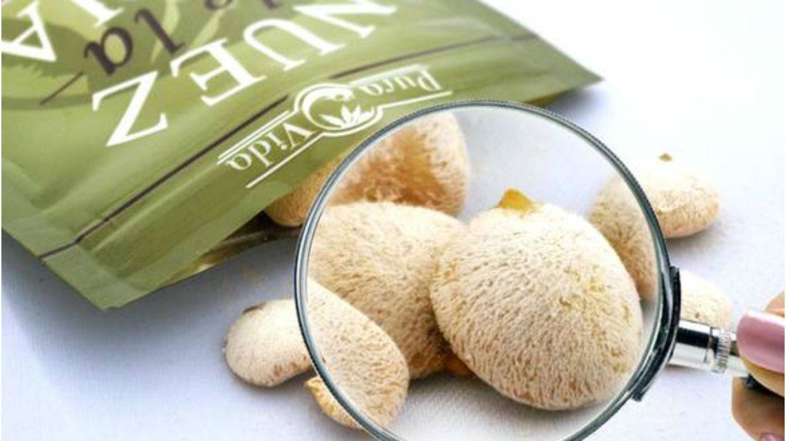 ¿Qué es la nuez de la India?