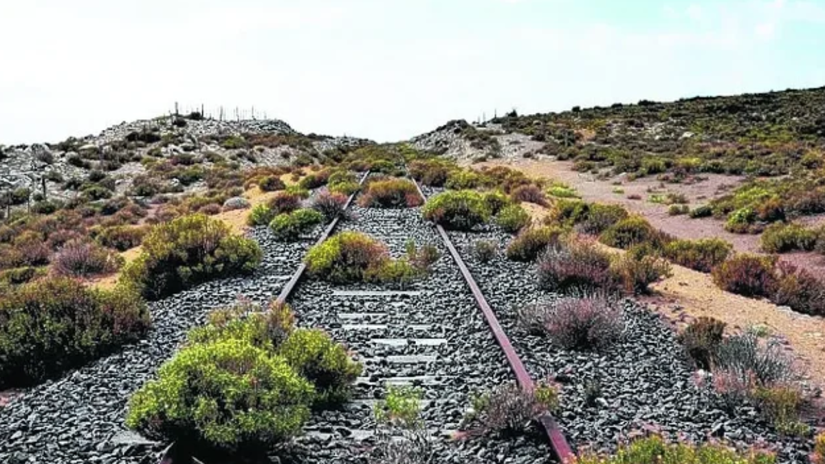 Se deben realizar inversiones millonarias para recuperar el tendido de vías en Neuquén. Foto: Diario Río Negro Se deben realizar inversiones millonarias para recuperar el tendido de vías en Neuquén. Foto: Diario Río Negro