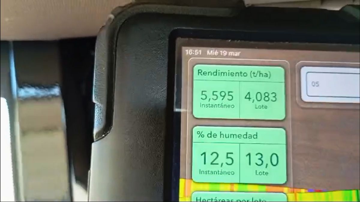 “Medio sancochaditas, un poco de yuyo… y va la tipa”, relata Ezequiel Gentili, con cierta sorpresa por los rindes.