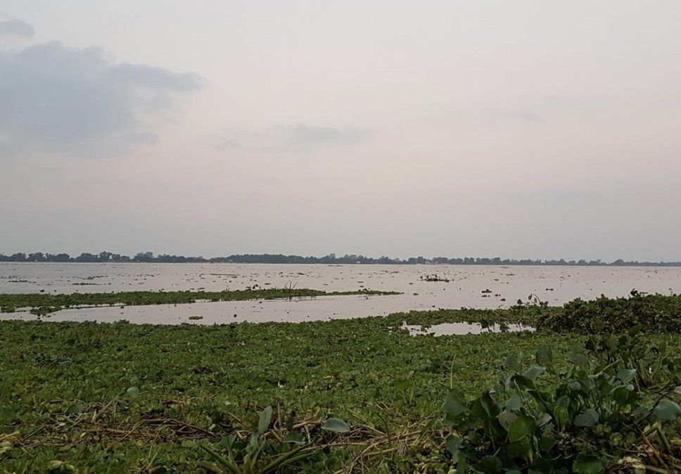 A diferencia de Nación, Santa Fe ya tiene una ley para proteger los Humedales