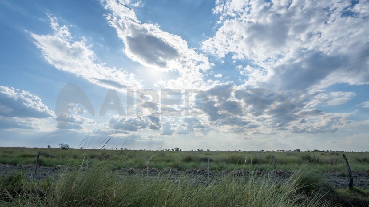 Se registran pérdidas totales en gran parte de los cultivos de la zona núcleo argentina, según informes de la Bolsa de Comercio de Rosario.