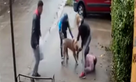 Habló la familia de la nena atacada por un pitbull: Tiene la pierna destrozada Habló la familia de la nena atacada por un pitbull: Tiene la pierna destrozada