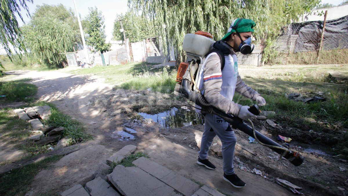Fuerte incremento de los casos de dengue en la provincia de Santa Fe.