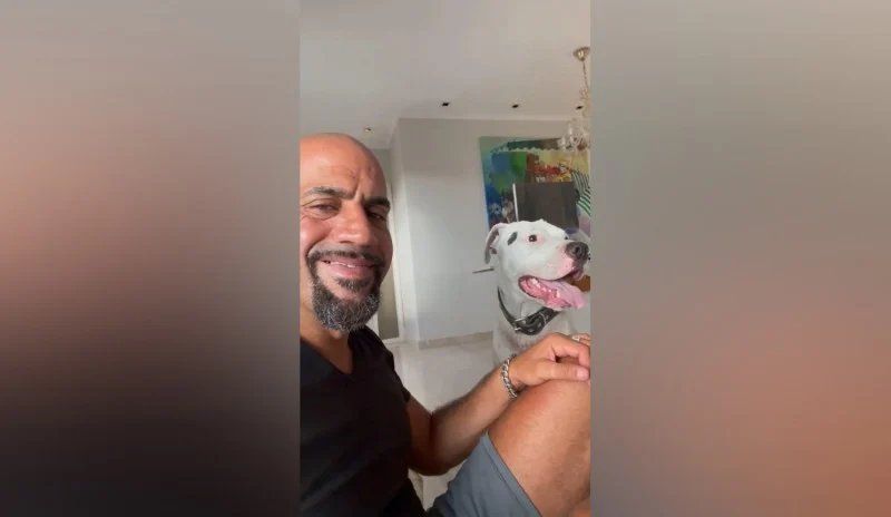 La Brujita Verón sorprendió en las redes al mostrar cómo llegó un perro rescatado a su casa.