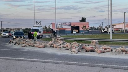 Un camión perdió la carga y quedaron las bolsas de cemento sobre Autovía 19