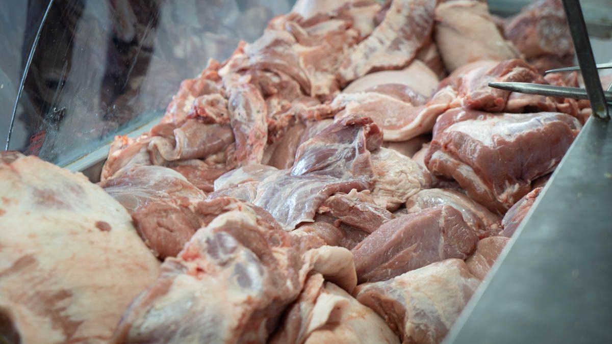 Pedace consideró que para recomponer el stock ganadero hace falta "una política previsible como ahora, que haya un rumbo, que no les mientan (a los productores), que no cierren exportaciones, que el dólar sea libre. Todo esto hace que el productor apueste al ganado". Pedace consideró que para recomponer el stock ganadero hace falta "una política previsible como ahora, que haya un rumbo, que no les mientan (a los productores), que no cierren exportaciones, que el dólar sea libre. Todo esto hace que el productor apueste al ganado".