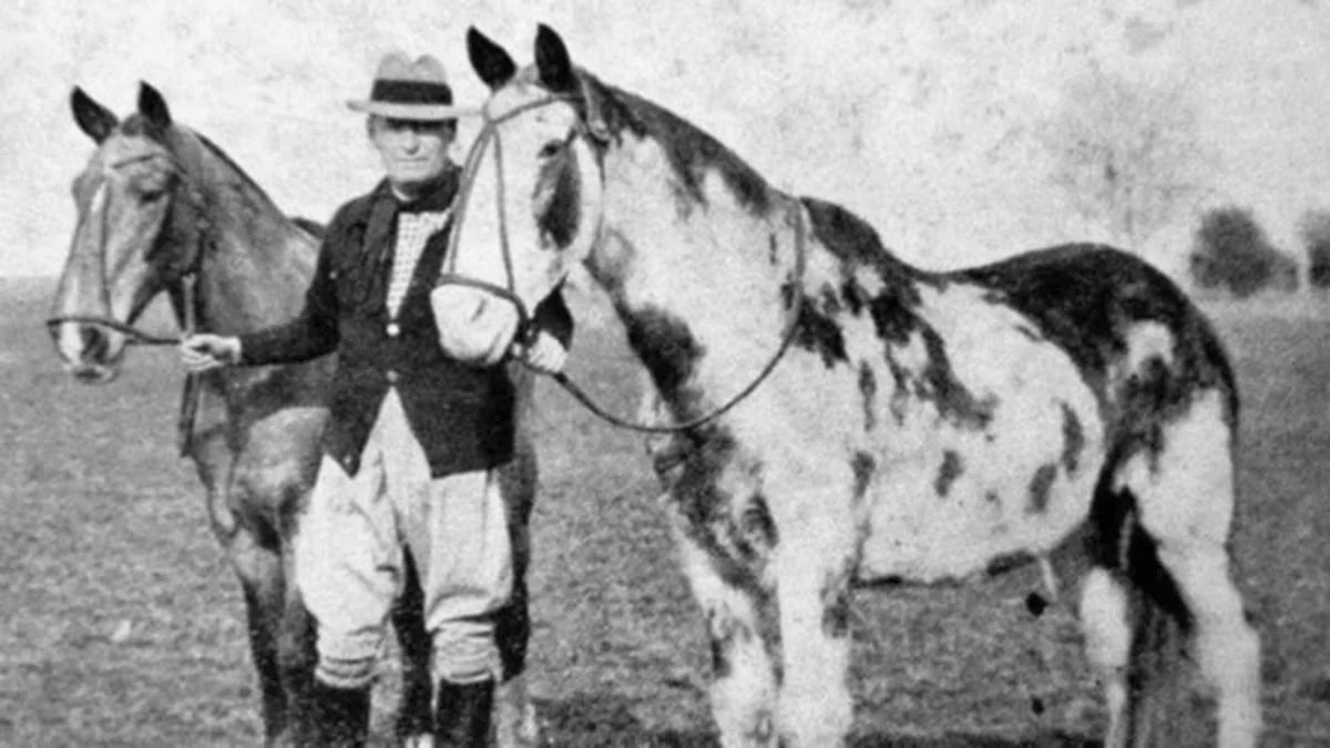 El mítico trío que rompió todo los récords: Gato, Tschiffely y Mancha