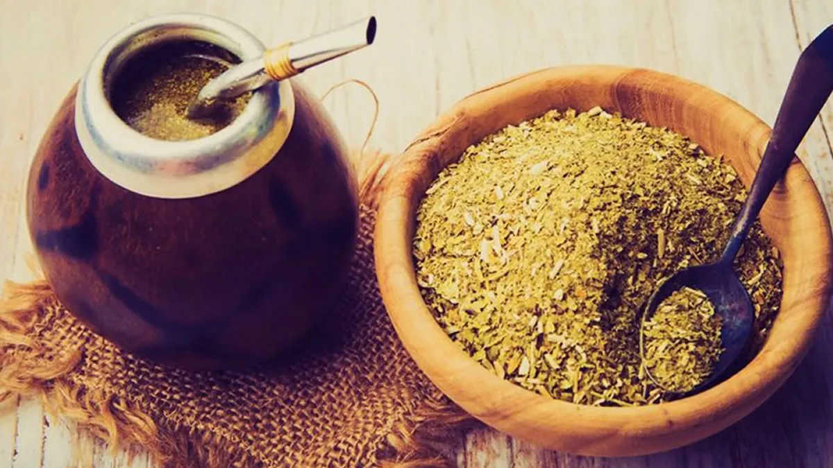 El dispositivo para la industrialización de la yerba mate se instalará dentro del Parque Industrial Municipal de San Carlos.