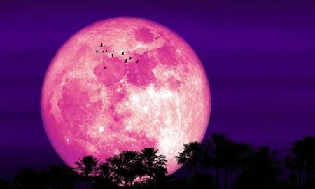 El calendario lunar de 2026. El calendario lunar de 2026.