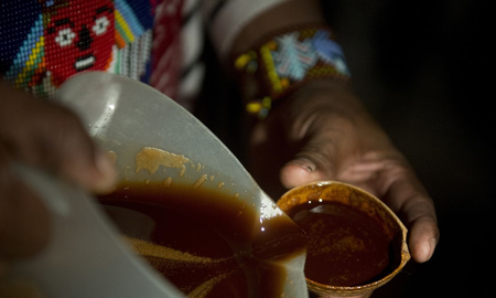 ¿Qué es la ayahuasca?, la planta alucinógena de moda en Perú ¿Qué es la ayahuasca?, la planta alucinógena de moda en Perú