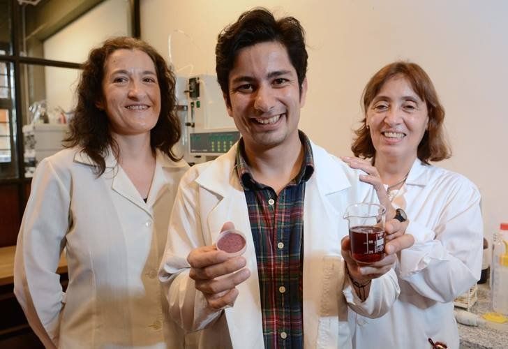 Investigadores del Conicet crean vino en polvo sin alcohol
