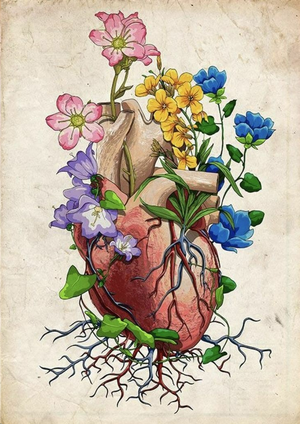 El comportamiento de los signos del zodiaco en las últimas semanas.