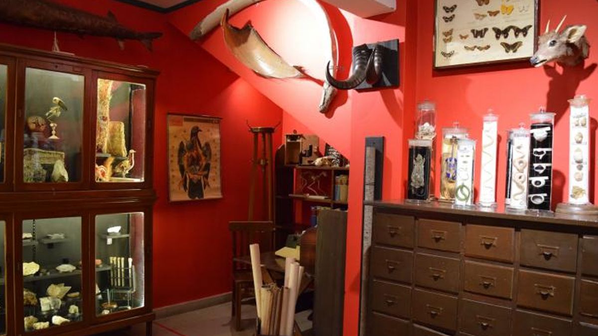 El Museo Provincial de Ciencias Naturales “Florentino Ameghino”.