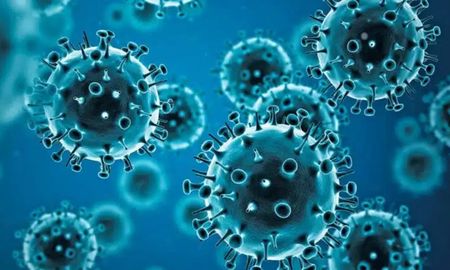 La nueva variante presenta mutaciones en un componente fundamental del virus, que podría aumentar su capacidad de transmisión y permitirle evadir parcialmente la respuesta del sistema inmunológico. La nueva variante presenta mutaciones en un componente fundamental del virus, que podría aumentar su capacidad de transmisión y permitirle evadir parcialmente la respuesta del sistema inmunológico.