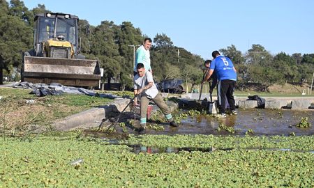 Parque del Sur: limpian la vegetación asentada en el lago que complicaba el desarrollo de los deportes náuticos