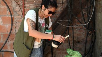 Confirman la presencia del vector del dengue en 26 barrios de la ciudad de Santa Fe