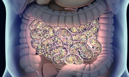 Descubren más de 100 nuevas bacterias intestinales en el cuerpo humano