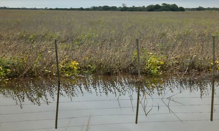 inundaciones en santa fe: proponen emergencia agropecuaria en 16 distritos del norte inundaciones en santa fe: proponen emergencia agropecuaria en 16 distritos del norte