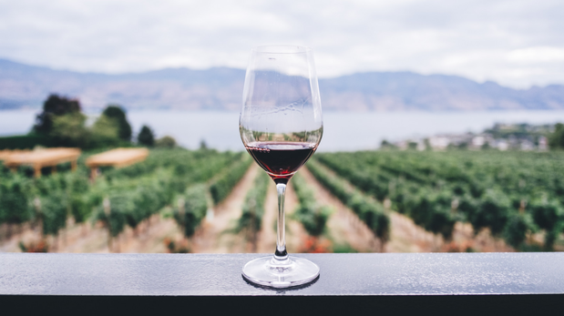 Las curiosidades y diferencias entre la producción y el consumo de vino en España y Argentina.