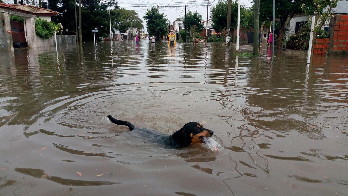 Foto: Marcelo Colombo (Facebook)