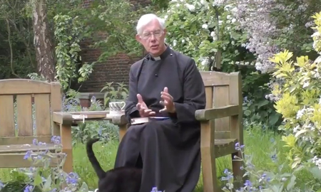 video: en pleno sermon online del cura, su gato termino siendo el protagonista video: en pleno sermon online del cura, su gato termino siendo el protagonista