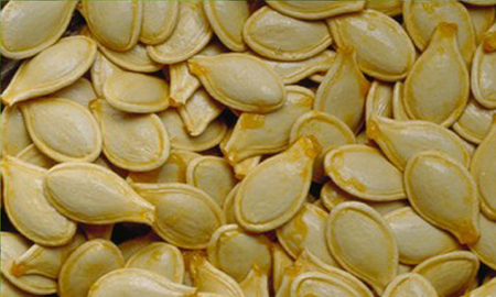 Calabaza Calabaza