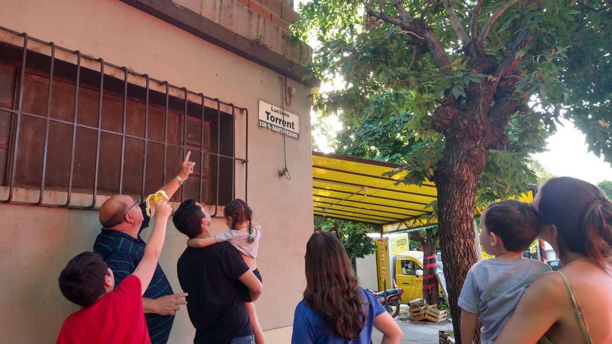 Los vecinos encontraron al monito tití suelto entre los árboles. 