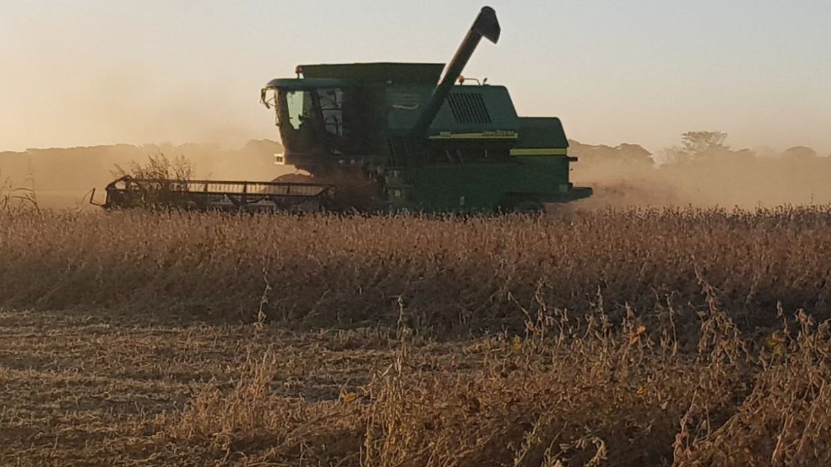 Más de dos tercios de la soja en el norte y noreste de Buenos Aires sigue sin cosecharse.
