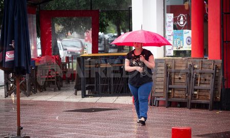 En la ciudad de Santa Fe cayeron entre 8,6 y 11,7 milímetros hasta el momento. En la ciudad de Santa Fe cayeron entre 8,6 y 11,7 milímetros hasta el momento.