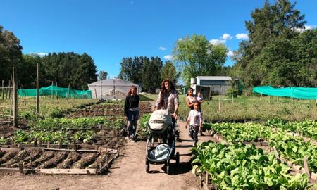 De los agricultores familiares rurales depende, en buena parte, la llegada de alimentos frescos a los habitantes de toda la Argentina. De los agricultores familiares rurales depende, en buena parte, la llegada de alimentos frescos a los habitantes de toda la Argentina.