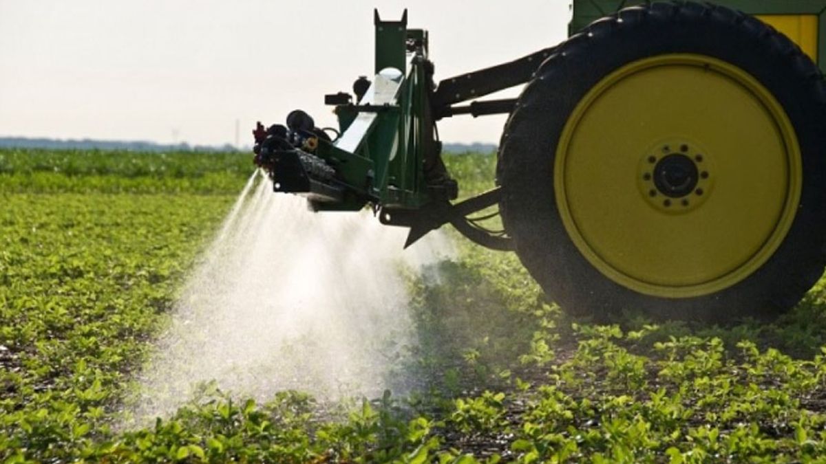 Los herbicidas en base a glifosato son una pata clave del sistema de producción de granos en la Argentina.