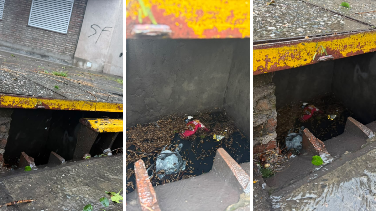 Vecinos encontraron al día siguiente una campera y una cartera con maquillaje dentro de la alcantarilla donde la chica se había introducido. Vecinos encontraron al día siguiente una campera y una cartera con maquillaje dentro de la alcantarilla donde la chica se había introducido.